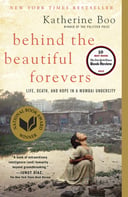 Behind the Beautiful Forevers