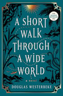 A Short Walk Through a Wide World
