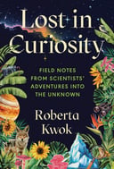 Lost in Curiosity