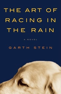 Cover of The Art of Racing in the Rain by Garth Stein