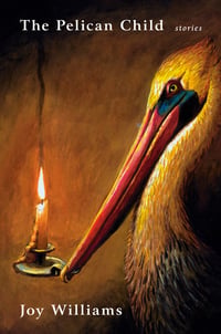 Cover of The Pelican Child by Joy Williams