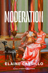 Cover of Moderation by Elaine Castillo