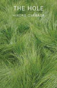 Cover of The Hole by Hiroko Oyamada