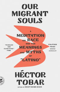 Cover of Our Migrant Souls by Héctor Tobar