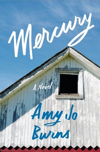 Cover of Mercury by Amy Jo Burns