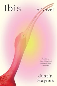 Cover of Ibis by Justin Haynes