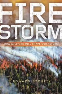 Cover of Firestorm by Edward Struzik