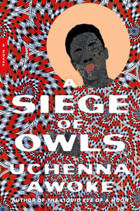 Cover of A Siege of Owls by Uchenna Awoke