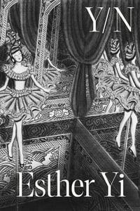 Cover of Y/N by Esther Yi