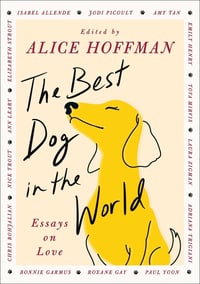 Cover of The Best Dog in the World by Alice Hoffman