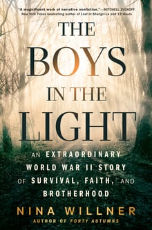 Cover of The Boys in the Light by Nina Willner