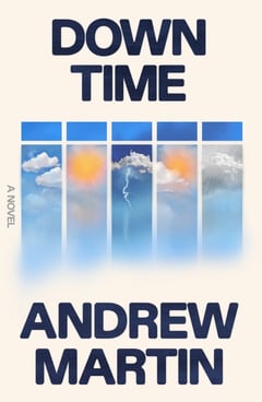 Cover of Down Time by Andrew Martin