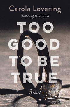 Cover of Too Good to Be True by Carola Lovering