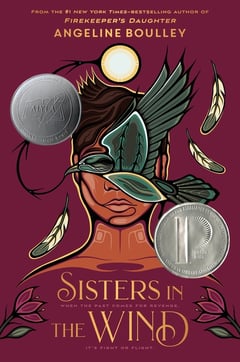 Cover of Sisters in the Wind by Angeline Boulley