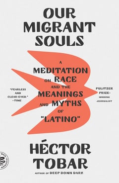 Cover of Our Migrant Souls by Héctor Tobar