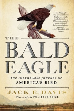 Cover of The Bald Eagle by Jack E Davis