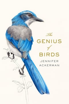 Cover of The Genius of Birds by Jennifer Ackerman