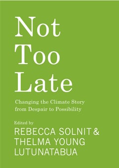 Cover of Not Too Late by Rebecca Solnit