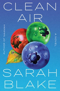 Cover of Clean Air by Sarah Blake