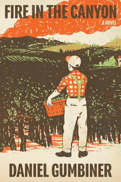 Cover of Fire in the Canyon by Daniel Gumbiner