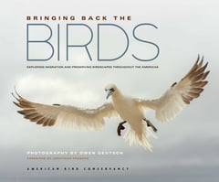 Cover of Bringing Back the Birds by American Bird Conservancy