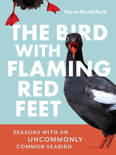 Cover of The Bird with Flaming Red Feet by Maria Mudd Ruth