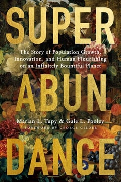 Cover of Superabundance by Marian L Tupy