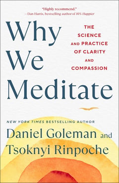 Cover of Why We Meditate by Daniel Goleman