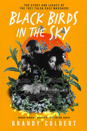 Cover of Black Birds in the Sky by Brandy Colbert