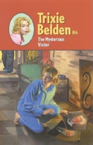 Cover of The Mysterious Visitor by Julie Campbell