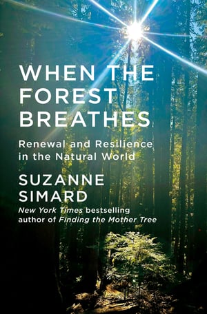 Cover of When the Forest Breathes by Suzanne Simard