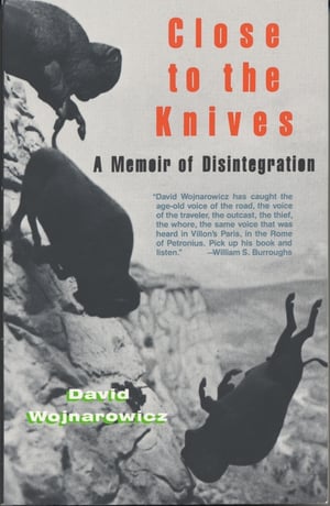Cover of Close to the Knives by David Wojnarowicz