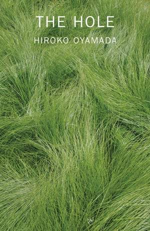 Cover of The Hole by Hiroko Oyamada