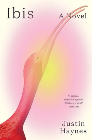 Cover of Ibis by Justin Haynes