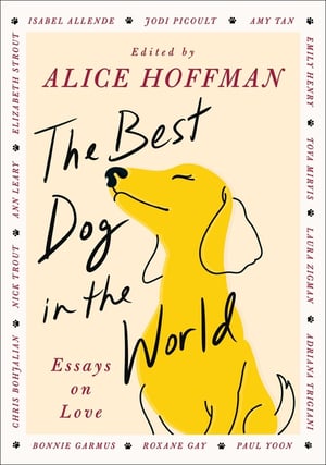Cover of The Best Dog in the World by Alice Hoffman
