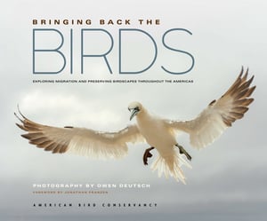 Cover of Bringing Back the Birds by American Bird Conservancy