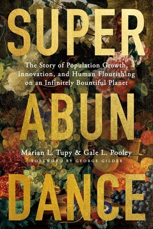 Cover of Superabundance by Marian L Tupy