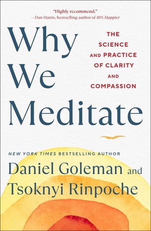 Cover of Why We Meditate by Daniel Goleman