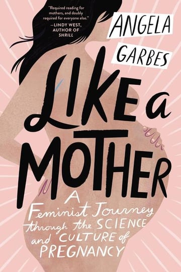 Cover of Like a Mother by Angela Garbes