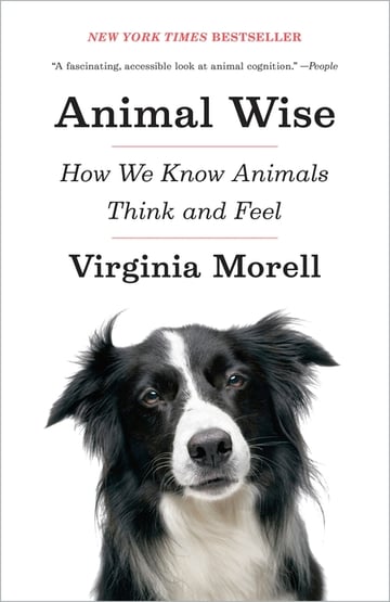 Cover of Animal Wise by Virginia Morell