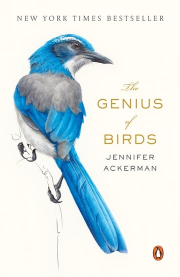 Cover of Genius of Birds by Jennifer Ackerman