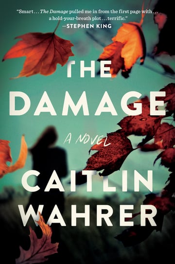 Cover of The Damage by Caitlin Wahrer