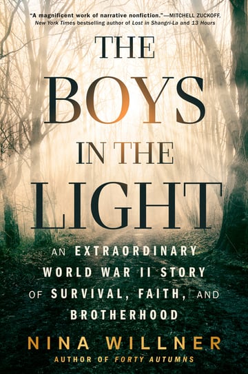 Cover of The Boys in the Light by Nina Willner