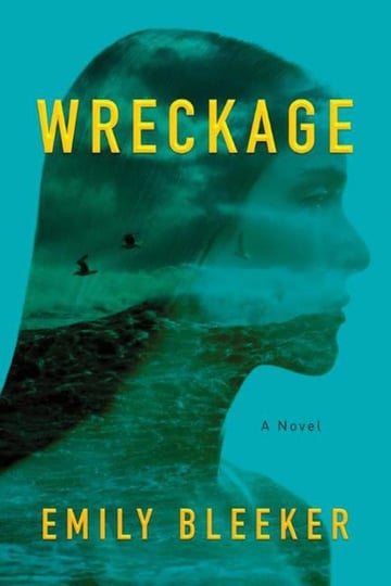 Cover of Wreckage by Emily Bleeker