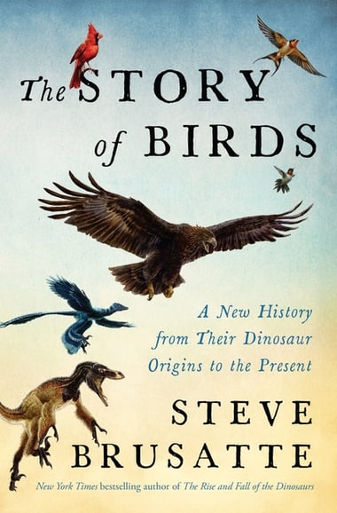 Cover of The Story of Birds by Steve Brusatte