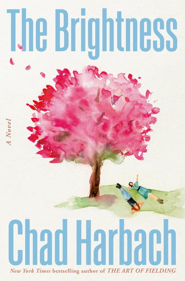 Cover of The Brightness by Chad Harbach