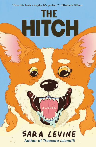 Cover of Hitch by Sara Levine