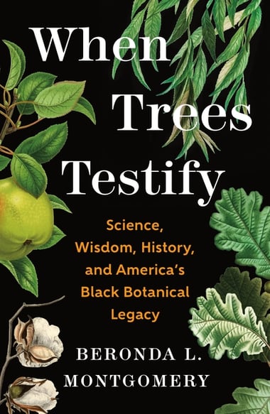 Cover of When Trees Testify by Beronda L Montgomery