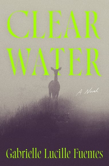 Cover of Clear Water by Gabrielle Lucille Fuentes