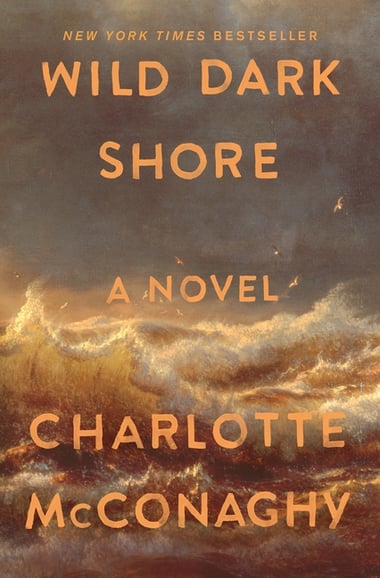 Cover of Wild Dark Shore by Charlotte McConaghy